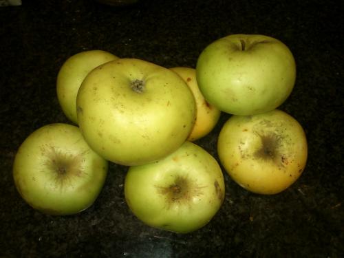 [AGOTADAS] Más manzanas de Valleseco esta vez manzanas Blancas