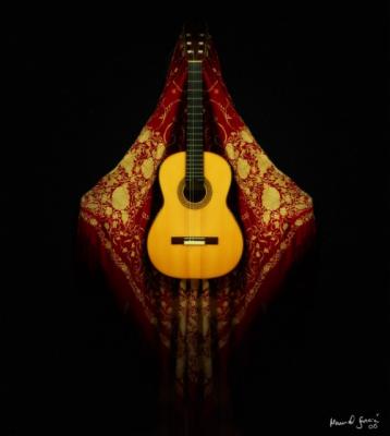 Ofrezco clases de guitarra española en diversos estilos (bossa nova, jazz, swing...) y flamenca.