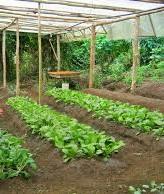 Mano de obra en el campo