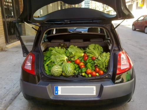 BUSCO A ALGUIEN QUE PUEDA HACER UN TRANSPORTE UNA O DOS VECES AL MES PARA LA CENTRAL