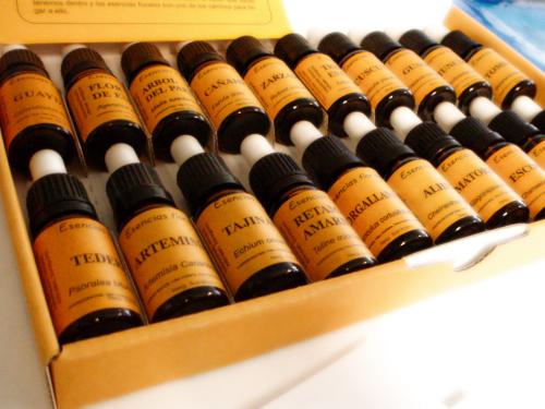 Taller esencias florales. Sistema Atlántida 22 de mayo