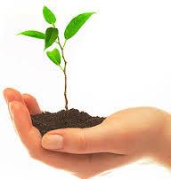 ¡PRIMER MERCADEMOS TEROR!!