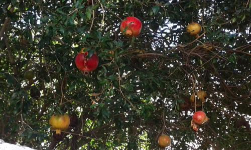 Estaremos en el 4♡ aniversario éste sábado en la Isleta.