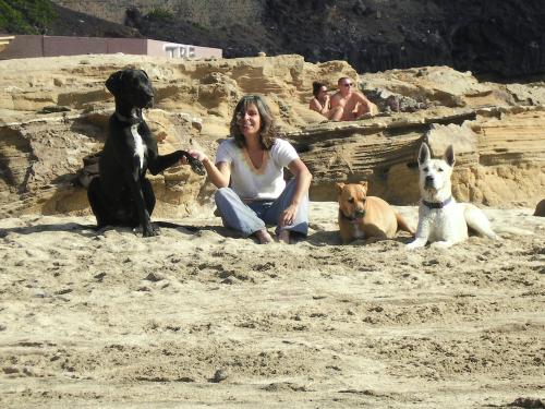 Proyecto empresarial