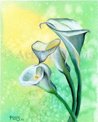 ¿QUIERES PINTAR ACUARELAS?