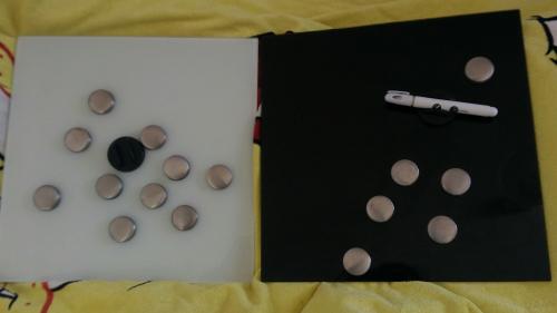Placas de Vidrio con imanes y rotulador. 