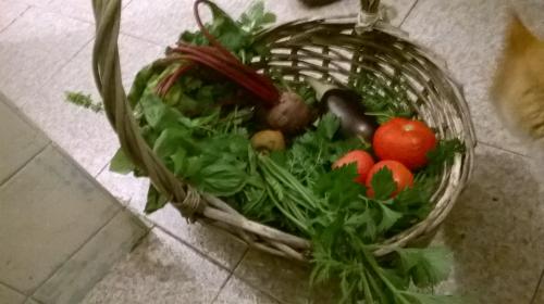 Trae tus bolsitas al Mercademos de mañana en Teror y llevate...