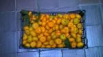 Mandarinas del país eco en Mercademos de La Isleta